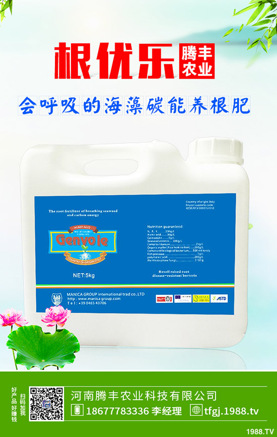 ʯ��ְ߲���(d��o)�°l(f��)�S���~��ô�k��ʯ��ְ߲��ķ���Ҫ�c(di��n)��