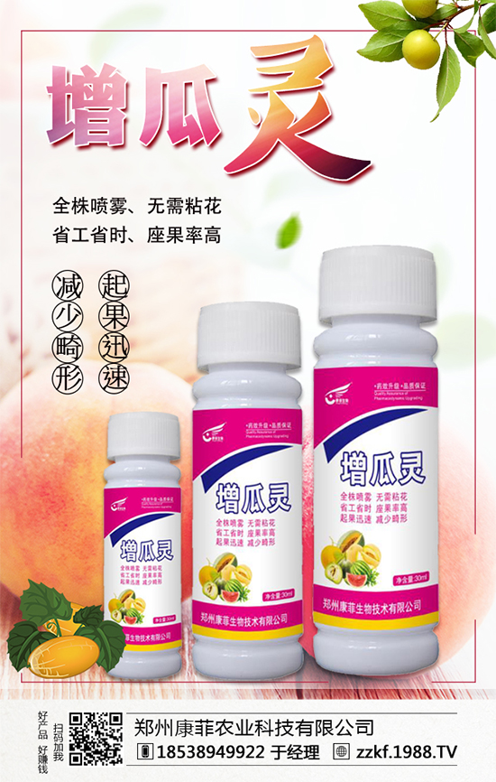 �����Ϲ���ô�Nֲ�������ϹϵķNֲ��Ҫ�c��