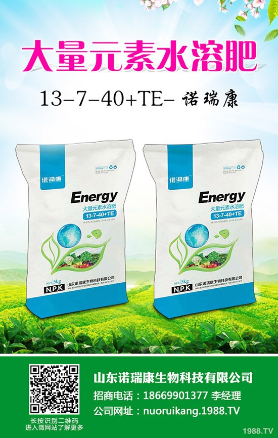 2020�����r(ji��)��������ô�ӣ�ٍ�X�����Nֲ��e������ô��