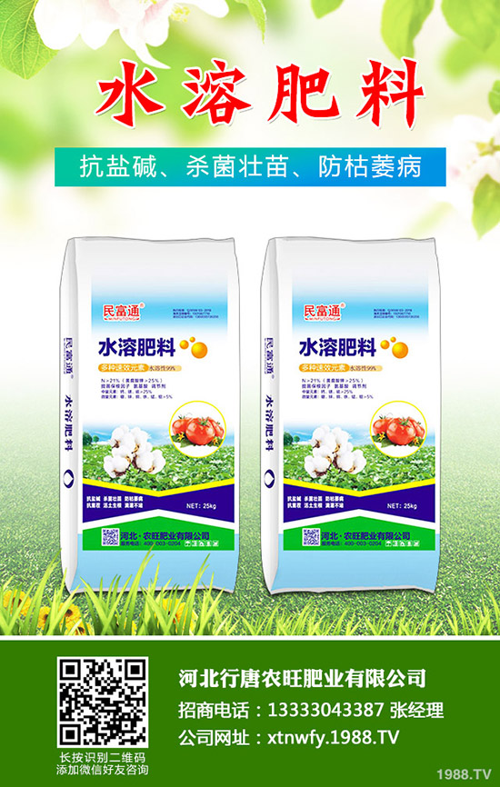 苦瓜得了白粉病怎么辦,苦瓜白粉病綜合防治