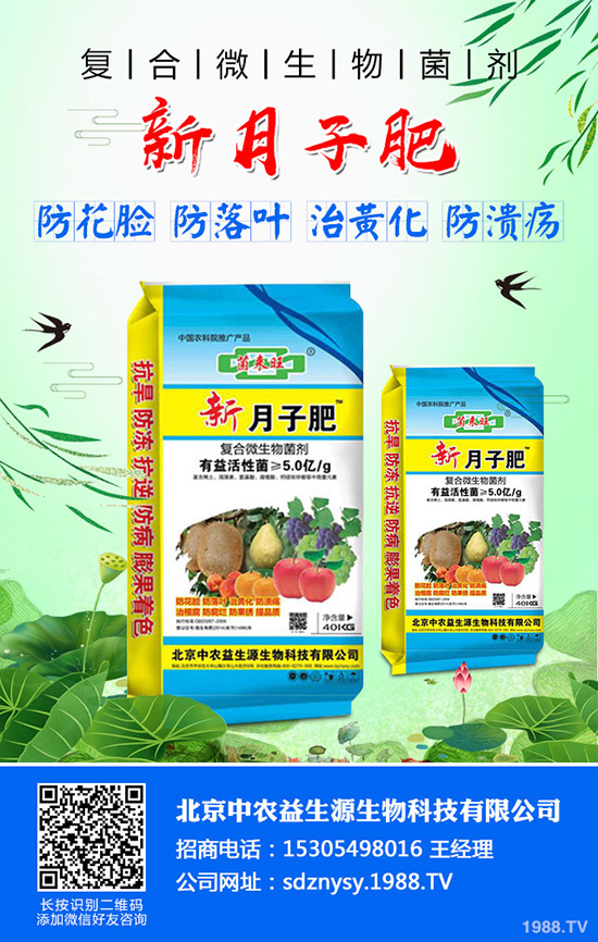     �t��ӭ������������2019��ȼt���r�������߄ݼ�������r��