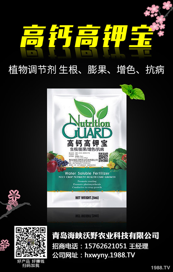 С�����s��ʲô�r(sh��)����θ�����С���s�ݽ�Q������