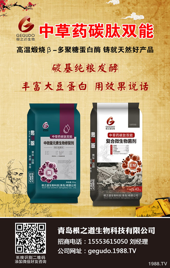 С��������������ЩΣ����С�����������l(f��)��Ҏ(gu��)�ɼ�������