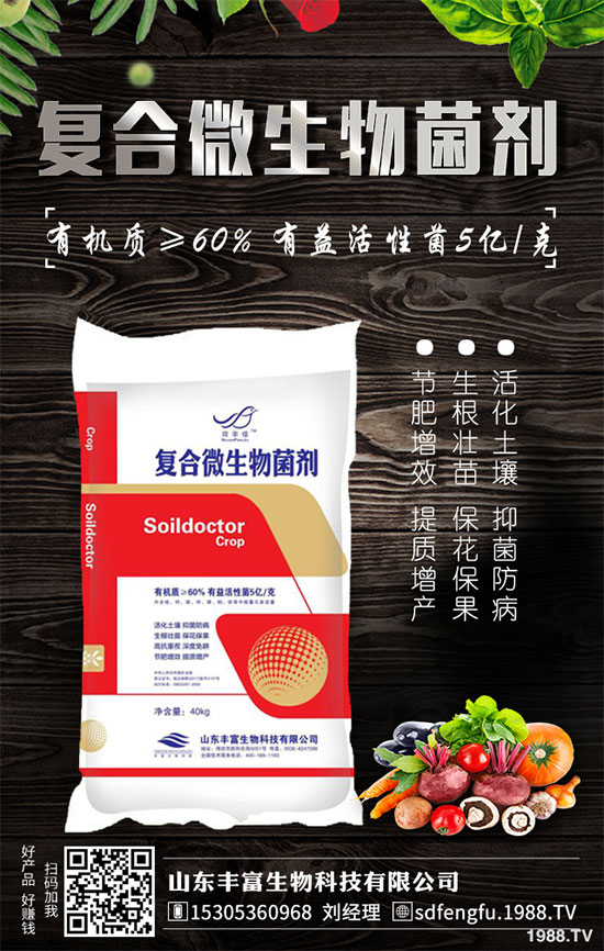 �P����������خa(ch��n)��2020��Nֲǰ�������