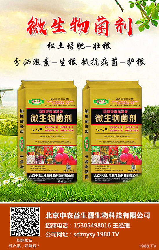     2020�괺��(ji��)����ɏź�r(ji��)�������������Nֲɏź߀��ǰ����Ч��������