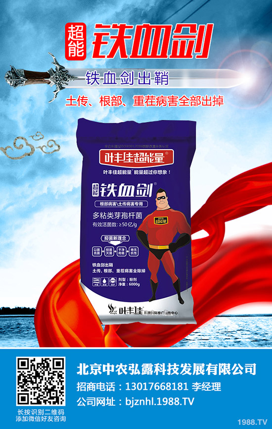 2019年12月17日國內(nèi)各地區(qū)鉀肥出廠報價一覽