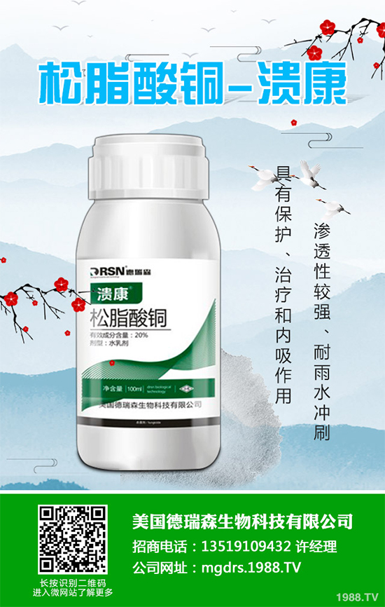 ������Seipasa�������Fungisei�����ݲ�ѿ�ߗU�����������@�U(ku��)չ��ӛ �����{�������