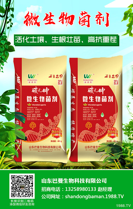臨近年關(guān)!春節(jié)期間部分企業(yè)尿素停產(chǎn)!2019年12月末最新尿素行情走勢!