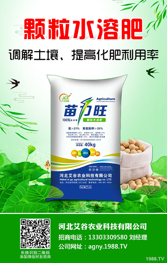 ���Ĳ�����ʩ�ʮa(ch��n)���������Ĳ�ʩ�ʼ�������Щ��