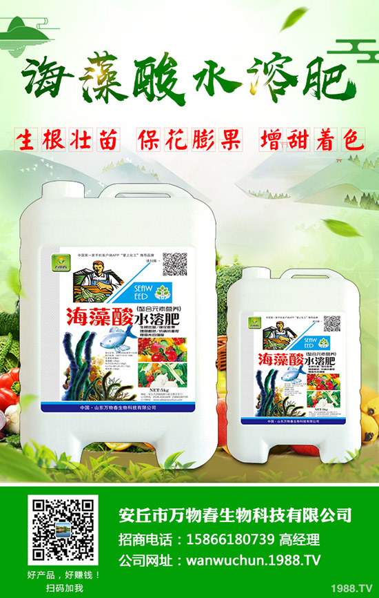 �＾��ηN�ô�ײ�����Ҫע��ʲô��