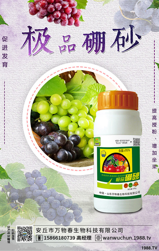 �����ηNֲ����轷Nֲ�l������Щ��