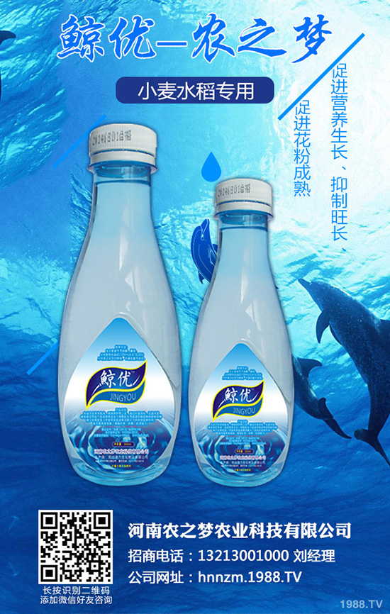 �۲˰߿ݲ�����ЩΣ����ԓ��η������۲˰߿ݲ��İl(f��)���c����