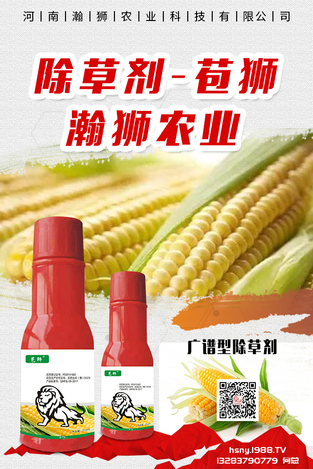 �������x����N���ò������������x����N����B