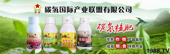 �ϰټ�ý�w��������쳬�^�W��ʳƷ��(bi��o)��(zh��n)���̼��˷ʾ����@ô����