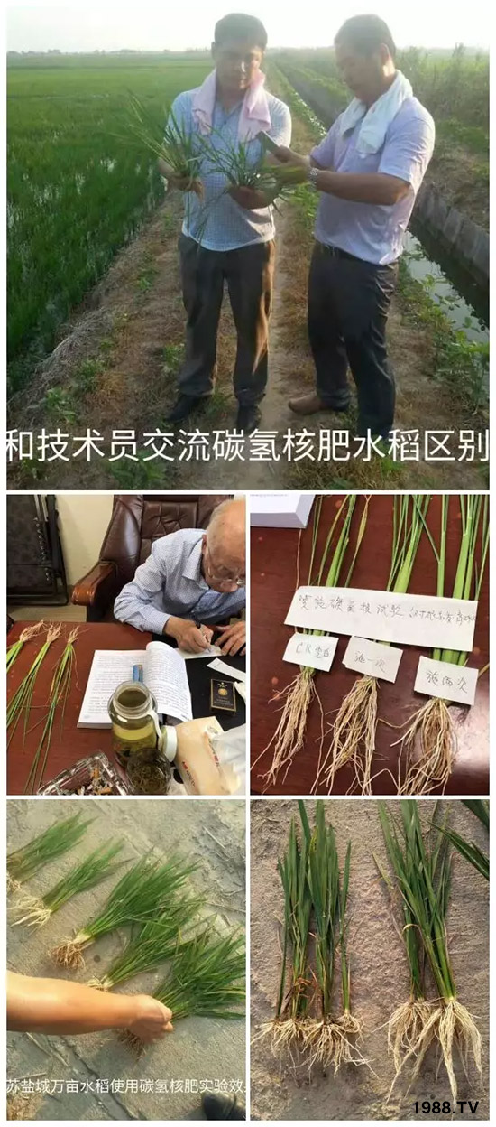 �ϰټ�ý�w��������쳬�^�W��ʳƷ��(bi��o)��(zh��n)������̼��˷ʾ����@ô����