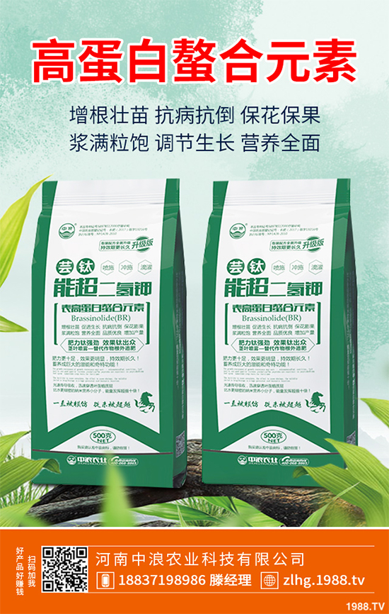 ���ʲô�r(sh��)��NֲЧ���������˸߮a(ch��n)�Nֲ���g(sh��)Ҫ�c(di��n)