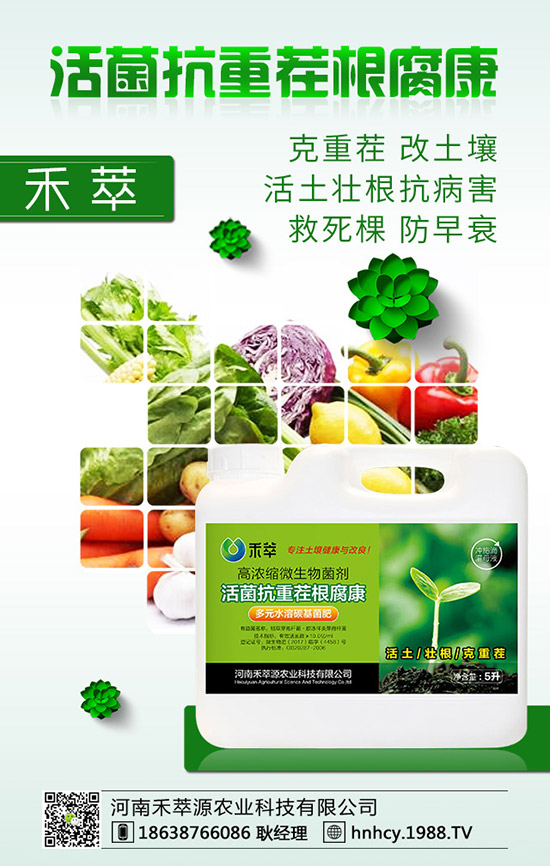 ����÷��ô�޽ӣ�����÷�޽ӷ�����