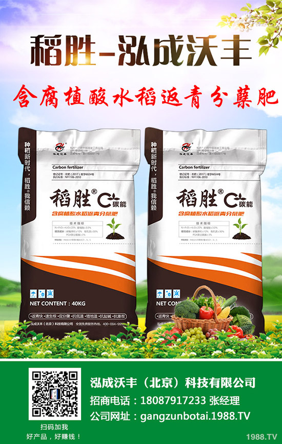     �R��������������؃r�񯂝q�����������������2019-9-12