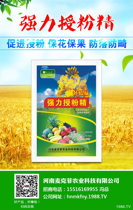 �������Щ�I�B(y��ng)�r(ji��)ֵ���Խ������Щ��̎����˵Ĺ�Ч�c����