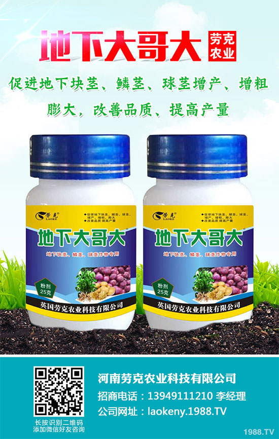 �������Щ�I�B(y��ng)�r(ji��)ֵ���Խ������Щ��̎����˵Ĺ�Ч�c����