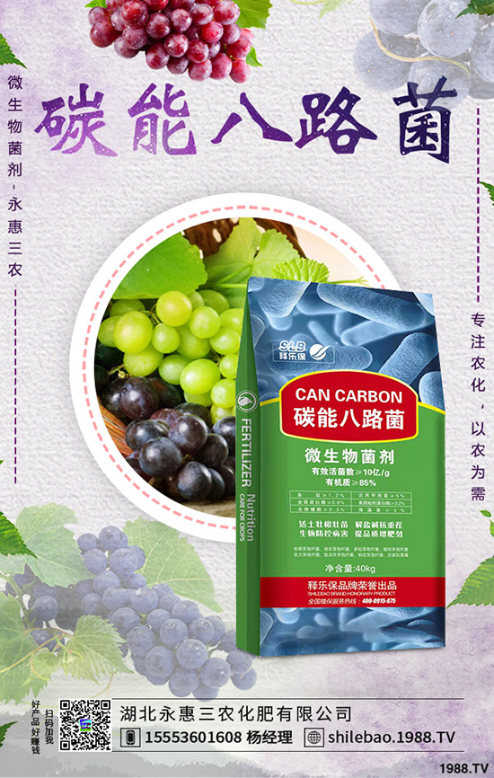 花菜如何施肥？花椰菜施肥時期、花椰菜的施肥量及技術(shù)你了解么？