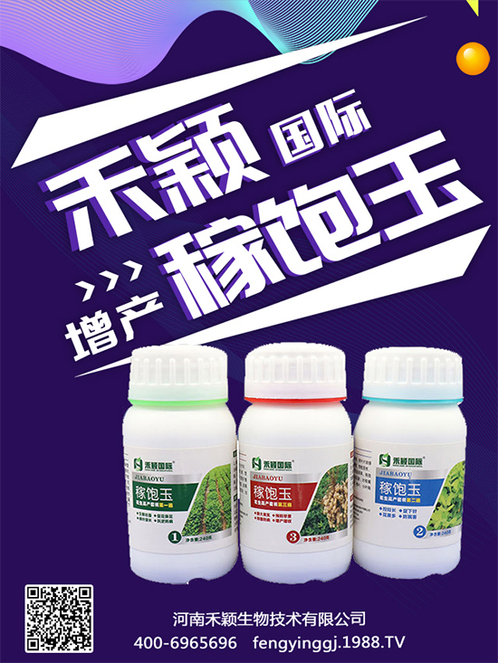 ����Nֲ���ի@�r(sh��)�g������Nֲ�����L�h(hu��n)����