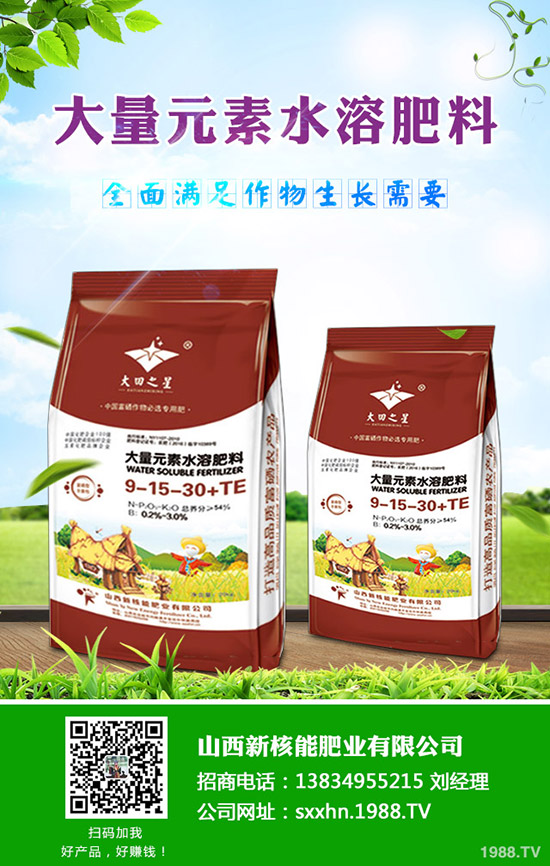     2019��9��17�ս��Շ�(gu��)��(n��i)⛷��Ј�(ch��ng)����r(ji��)��C���u(p��ng)��