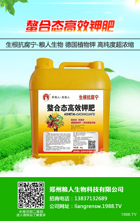 ���y�����ʩ�������y���߮a(ch��n)ʩ��Ҫ�c(di��n)��