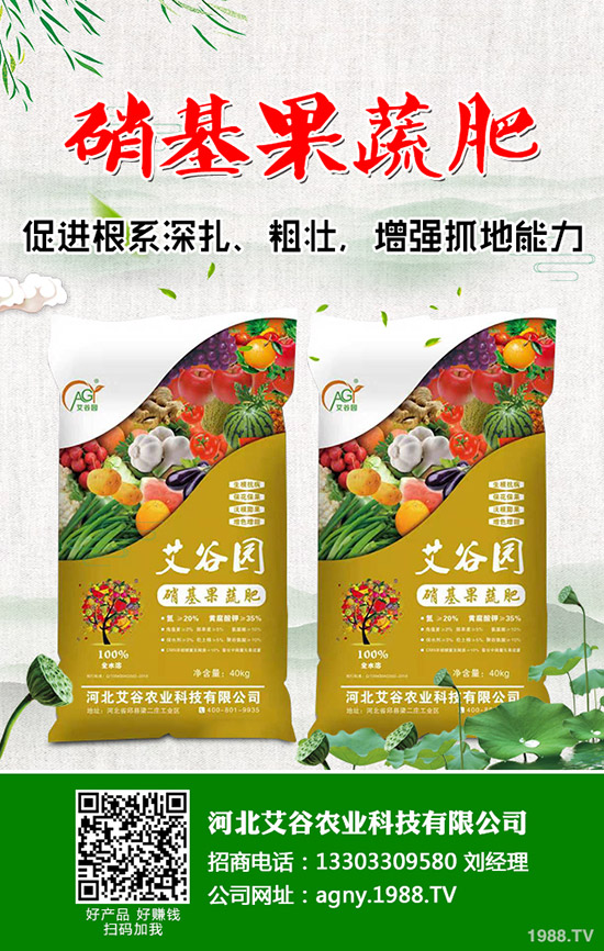 ��Ҭ���c���m���ĠI�B(y��ng)�rֵ��ʲô��ͬ����Ҭ�����m���ą^(q��)�e����Щ��