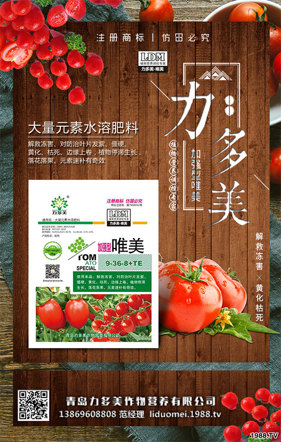 �㶹ԓ��ô�N���㶹�Ĳ��N�������Nֲ�������g