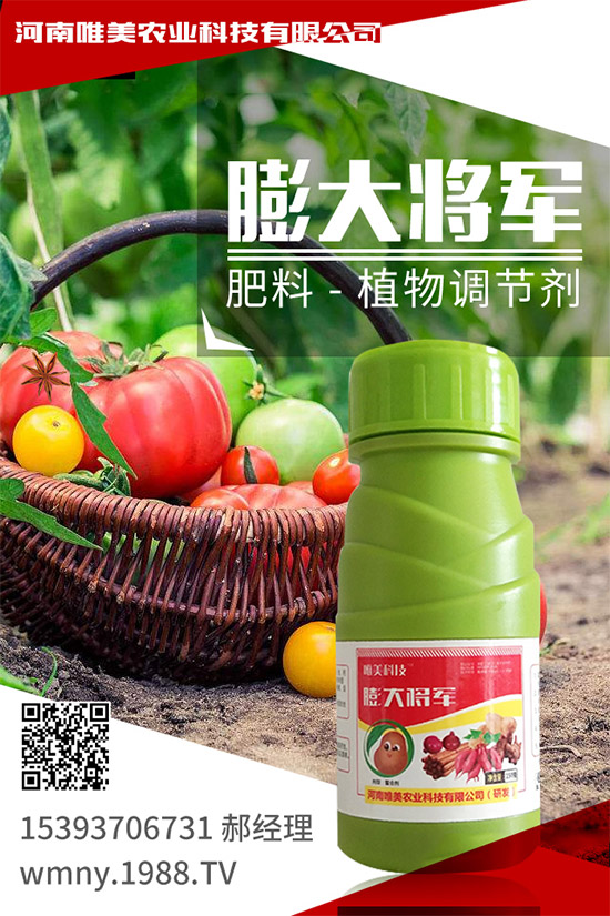 �＾���ҵĹ����(n��i)�����＾�����߲˷Nֲע�����(xi��ng)��