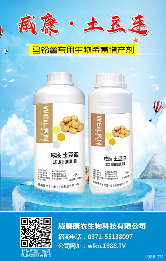 �㶹����������ЩΣ�����F(xi��n)��ԓ���ӷ������㶹���������η���