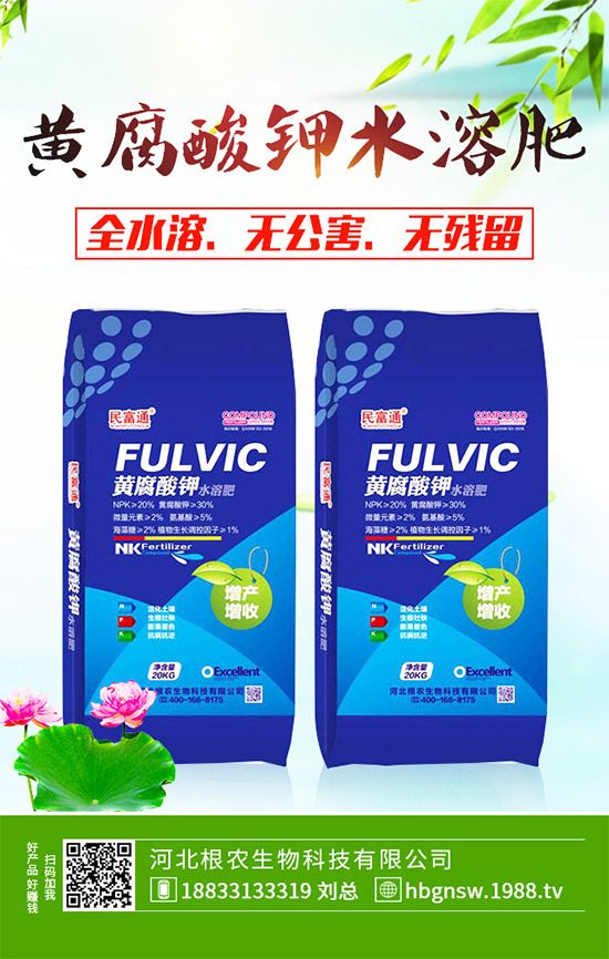 ����ԓ��ô��������ĠI�B(y��ng)�Է���ע�����