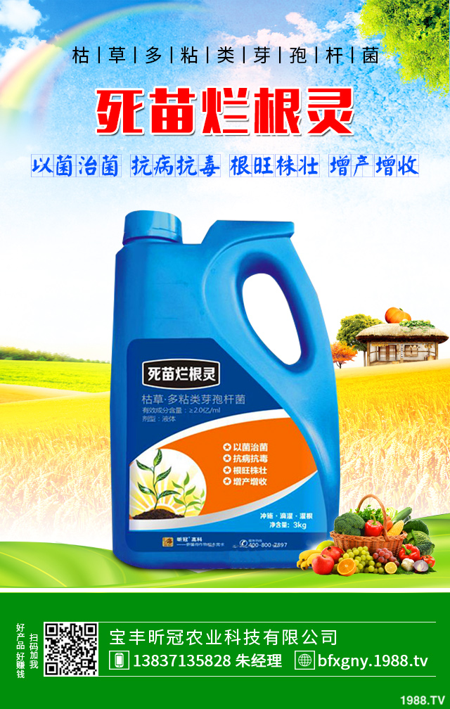 �۲˺��ĸ�����ô�������۲˺��ĸ���Ҫ���Y����