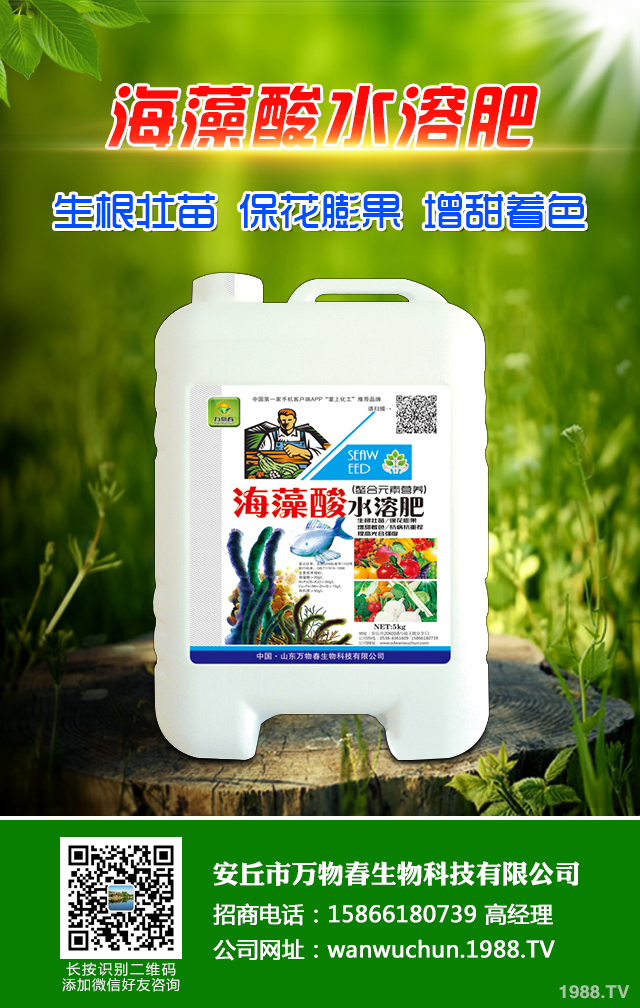 �ﲥС����ô����|(zh��)�����ﲥС������|(zh��)����Ҫ�c