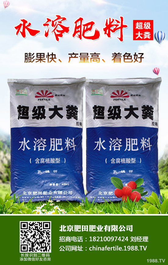 ��ݮ���˼t������������ô�k����ݮ�t�����������R�e�����ͷ�����