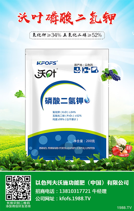 �۲˲���������ЩΣ����ԓ��η������۲˲�������Σ���c����