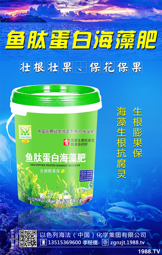 �۲˲���������ЩΣ����ԓ��η��Σ��۲˲�������Σ���c����