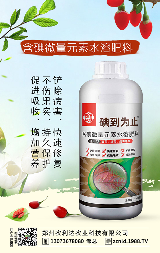 �����m�ĿƌWʩ�ʷ��������˽����