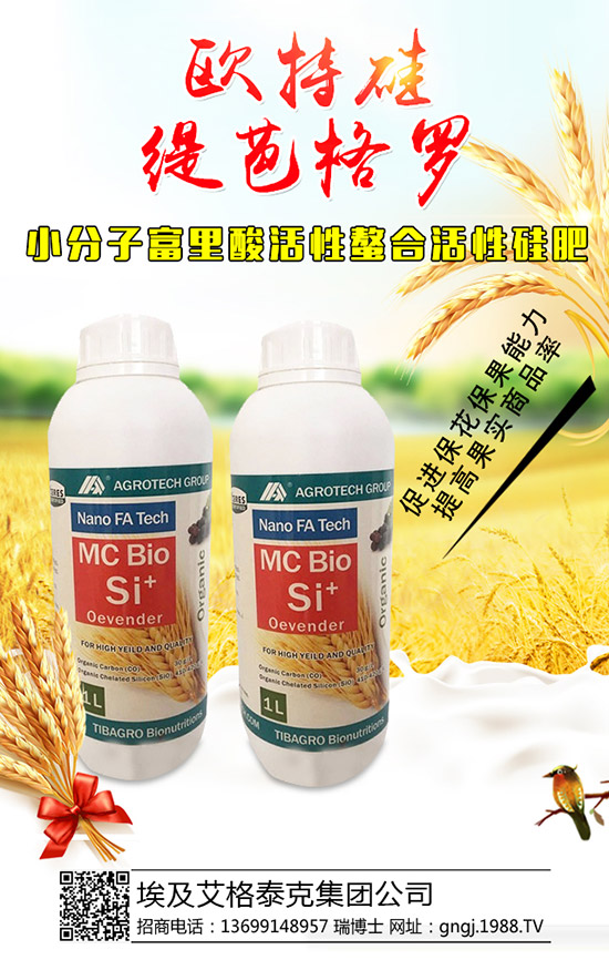 ���������Y(ji��)��������ô���£��������������������