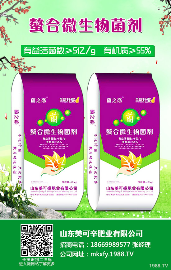     2020�����؃r(ji��)�������߄�(sh��)����������Xһ����