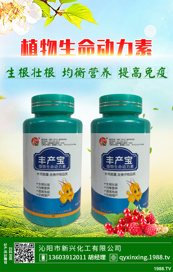 ���Ӳ��ܷN�ô�ײ�����ײ˸߮a(ch��n)�Nֲ���g(sh��)Ҫ�c(di��n)