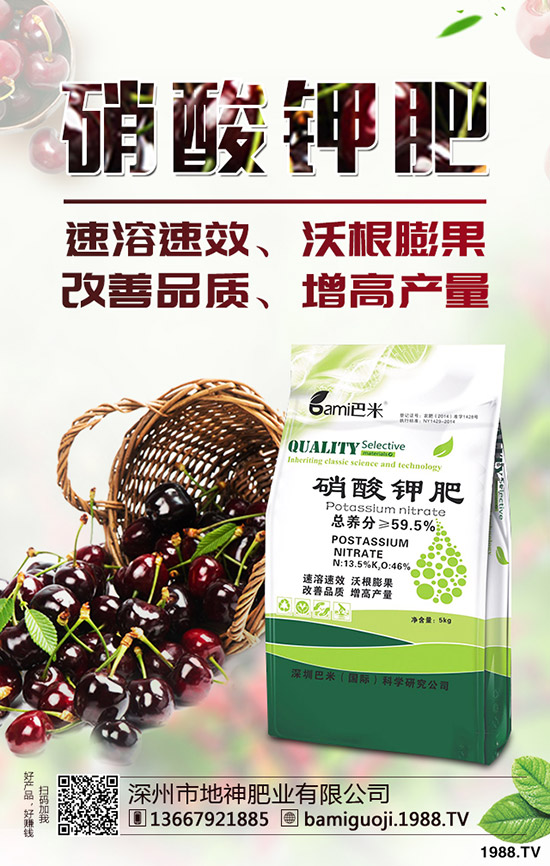 紅薯育苗時間是什么時候?紅薯育苗方法有哪些?