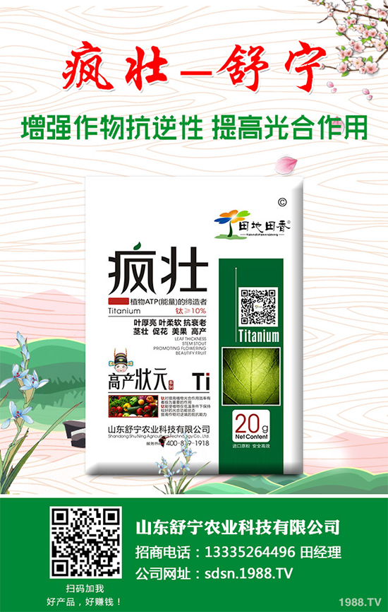 �Nֲ�㹽��ҪͶ��������㹽�Nֲ�ɱ���������