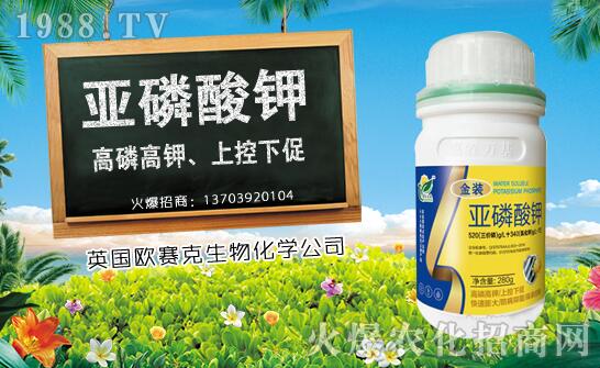 ľ��ʲô�r(sh��)��Nֲ��ľ�ϷNֲ�r(sh��)�g���Nֲ���g(sh��)Ҫ�c(di��n)��