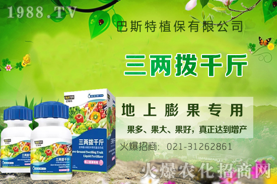 Ӱ�ţϥ��ϵ�����L��������Щ��ţϥ����������ʲô�~�����