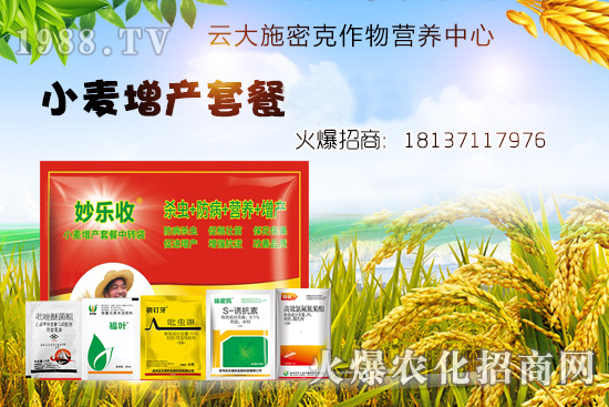 С�����N�󲻳�������ʲôԭ����ɵ���