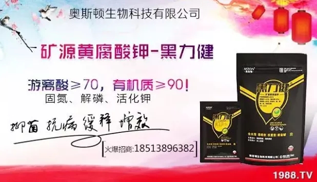 ����ʲô�r(sh��)�g���N��ע�����(xi��ng)����Щ�����ش���Nֲ�r(sh��)�g����