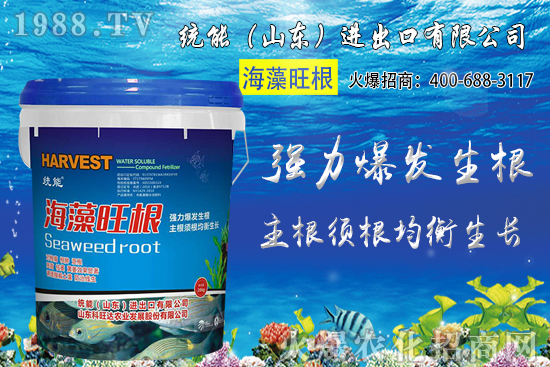 С���Nֲ�r�g��δ_����2020��С���Nֲע����Щ���}��