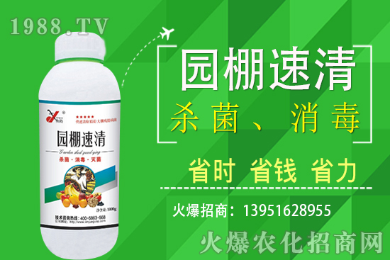 2020��11��5�վֲ������r������